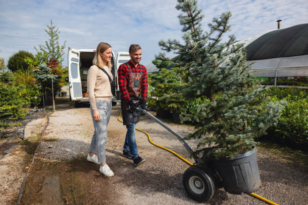 Best Emergency Tree Service  in USA